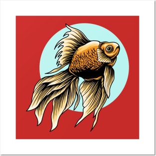 Koi fish Posters and Art